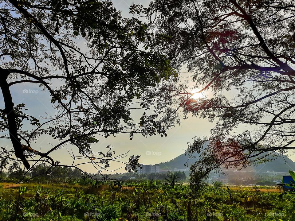 Nature view of a mountain