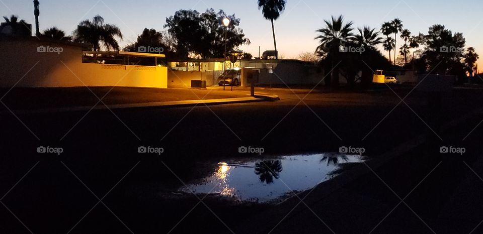 reflection in the water