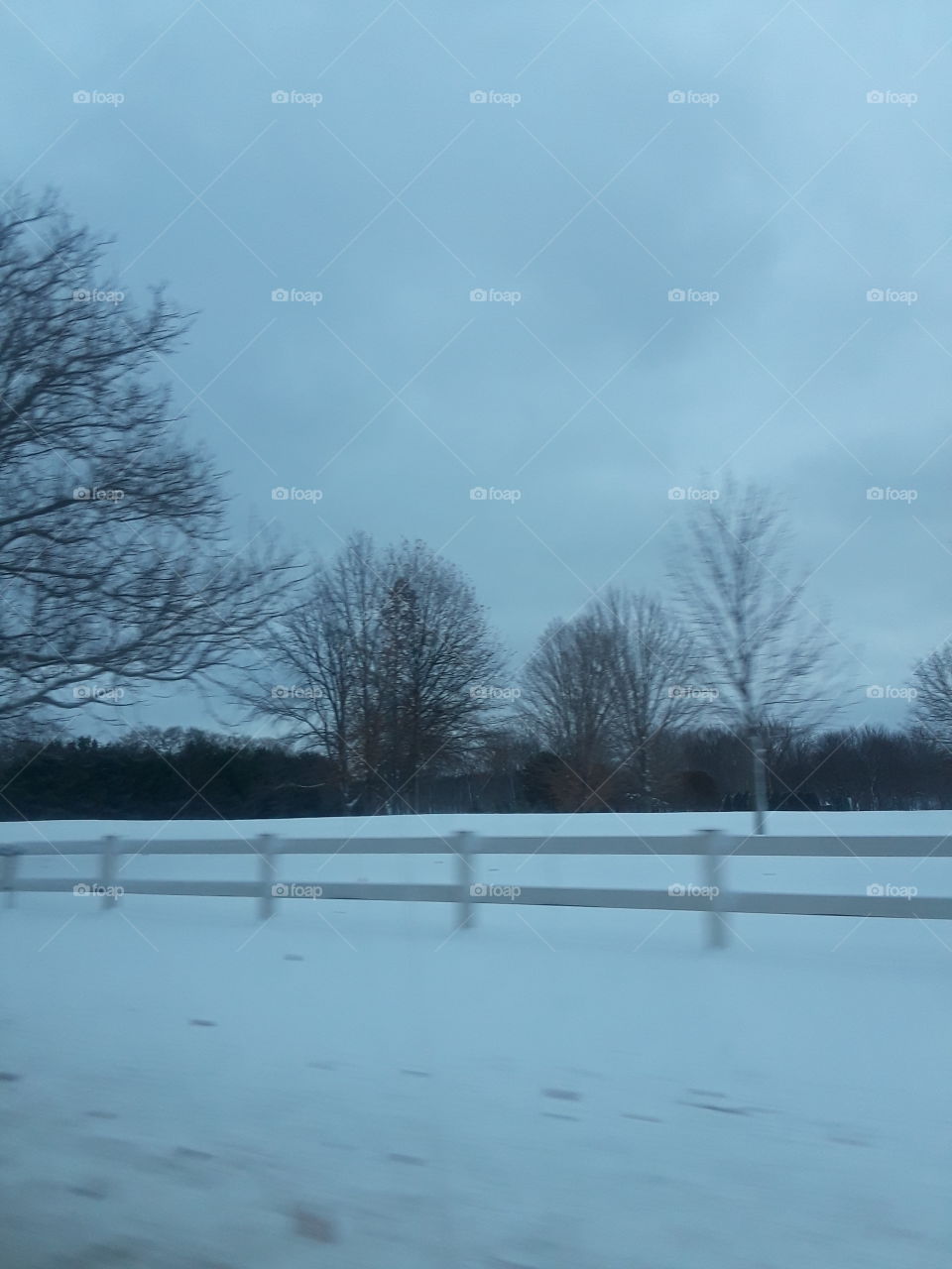 snowy fence