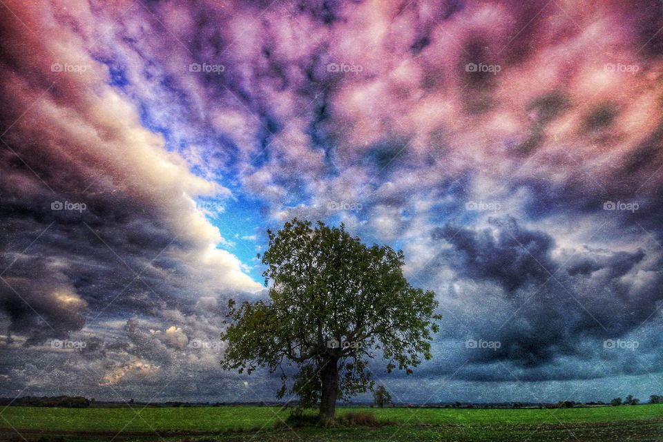 Solitary Tree Brooding Sky. A lone tree sitting centrally in the frame with a colourful brooding sky behind.