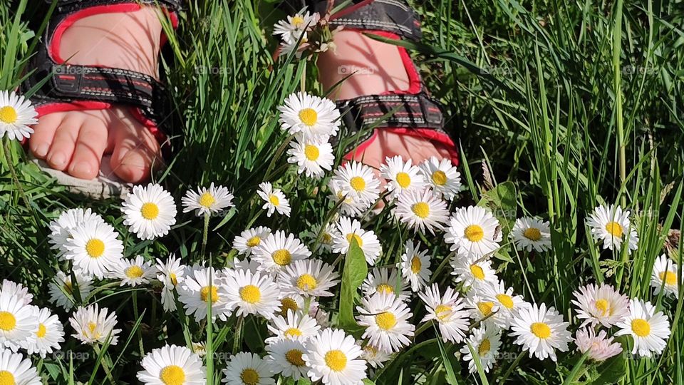 There is nothing better than a sunny day in spring, sandals on your feet and many fantastic spring flowers in the grass