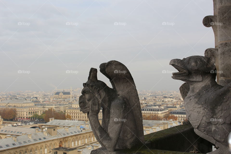 Paris gargoyle 