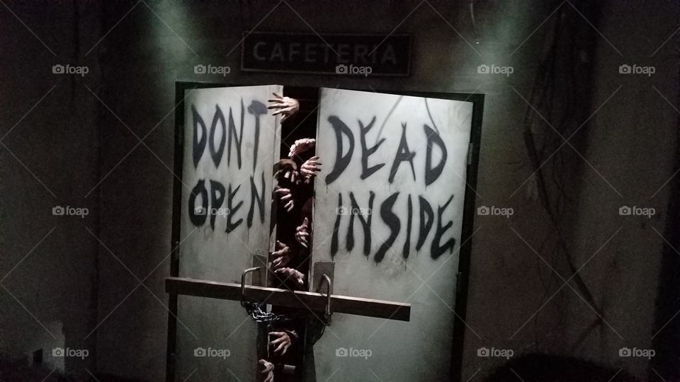 The walking dead attraction