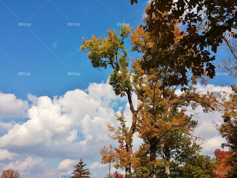 autumn clouds