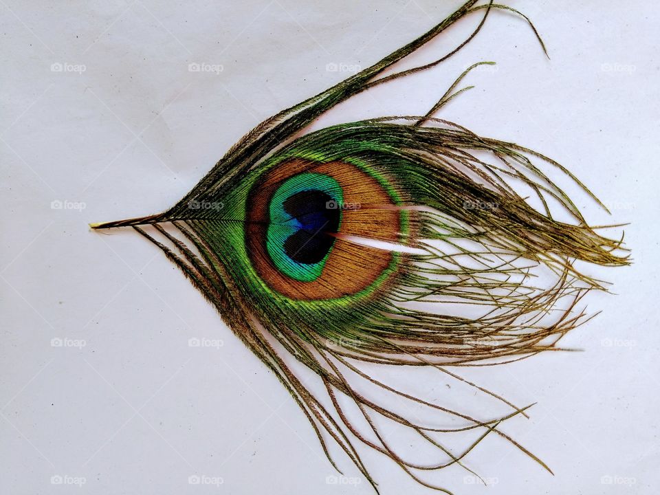eye