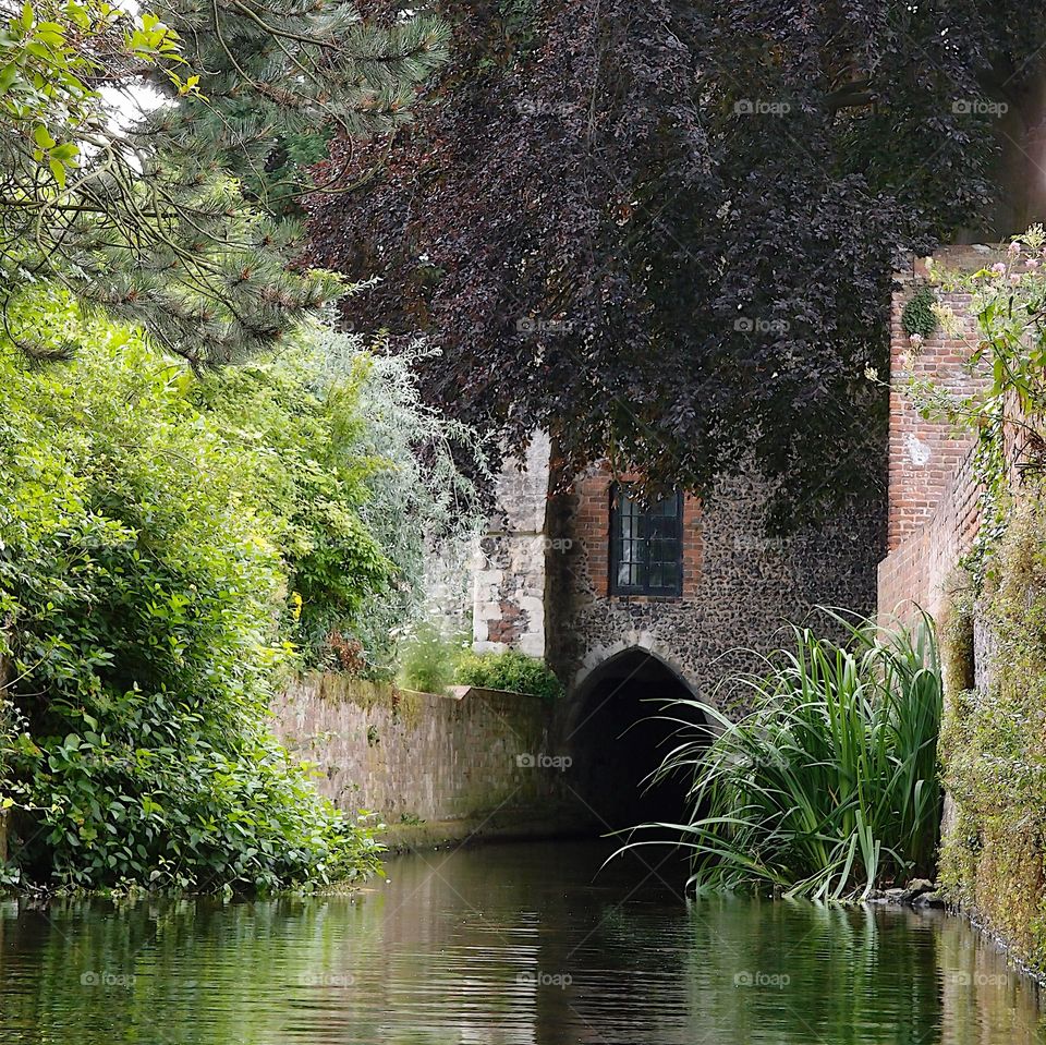 A river flows through a tunnel in a brick building that crosses the river with steep walls for banks covered in plants and trees in England. 