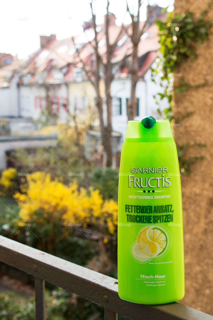 Garnier on my balcony 