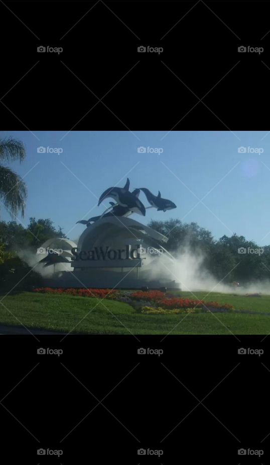 Sea world