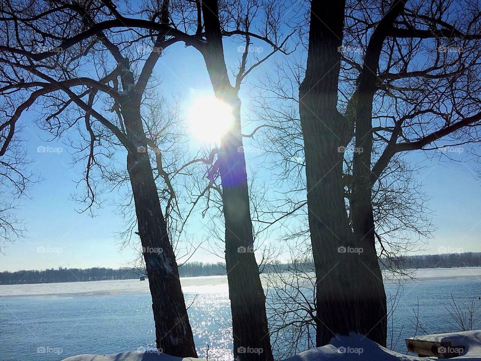 View of bare tree