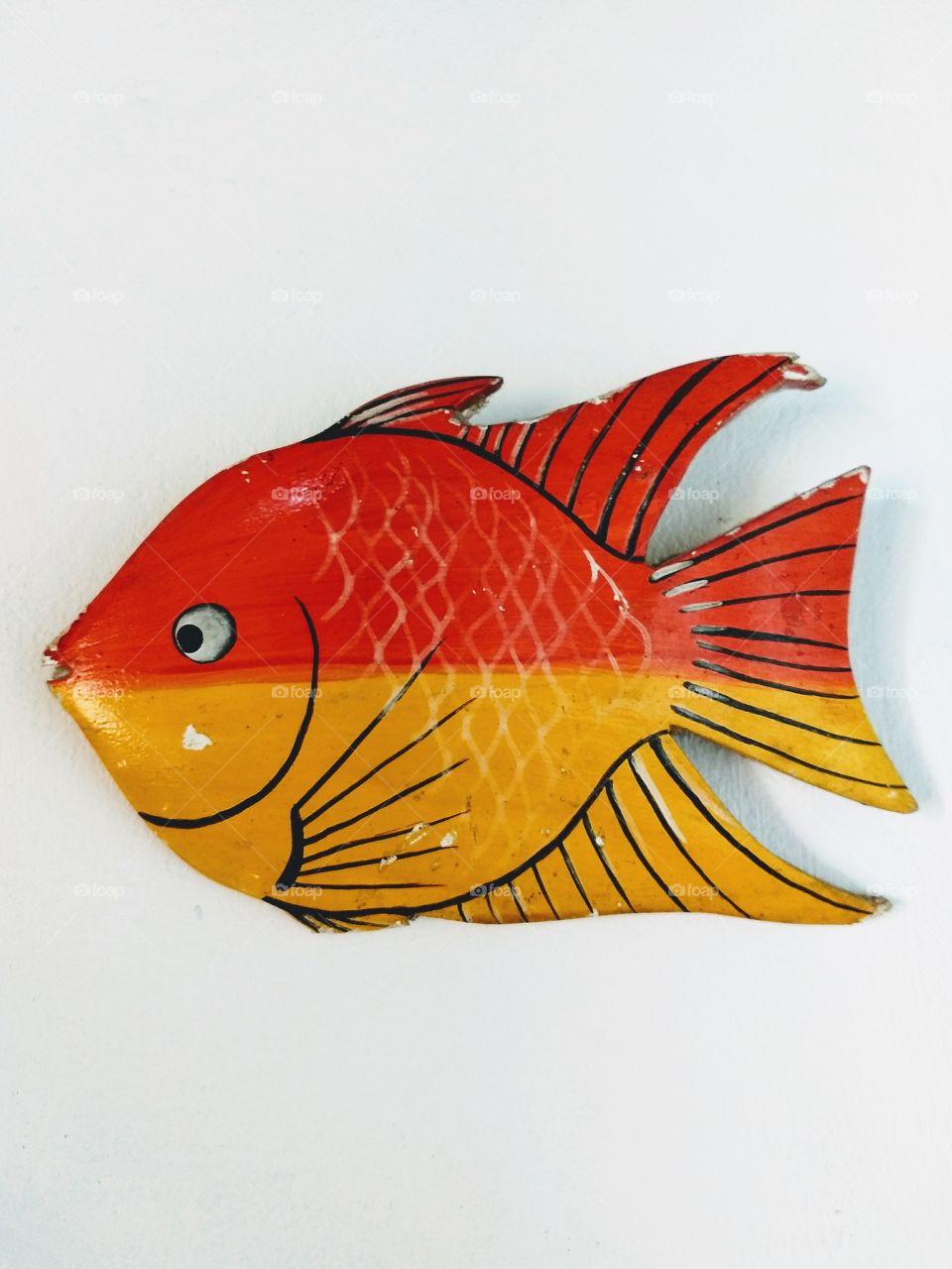 peixe colorido