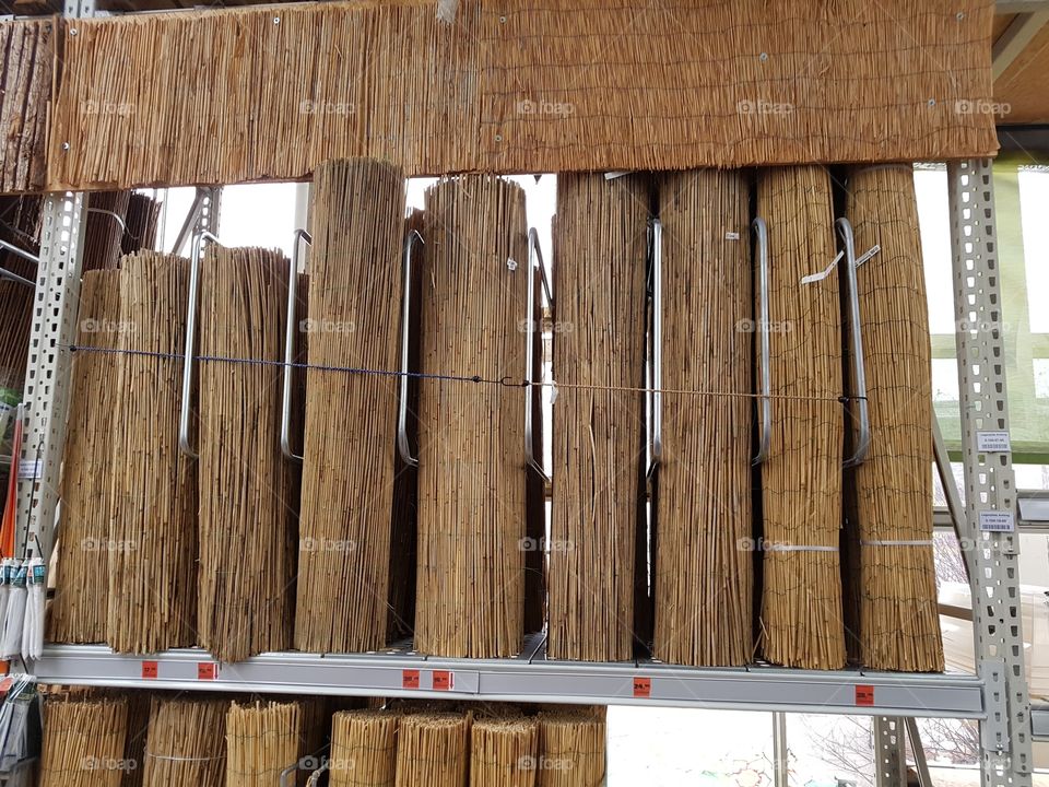 Bambus sichtschutz