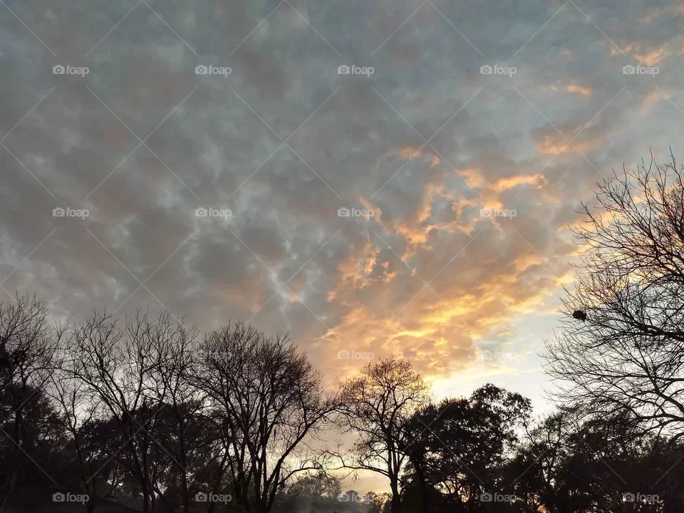 Nature's beauty and calm skies