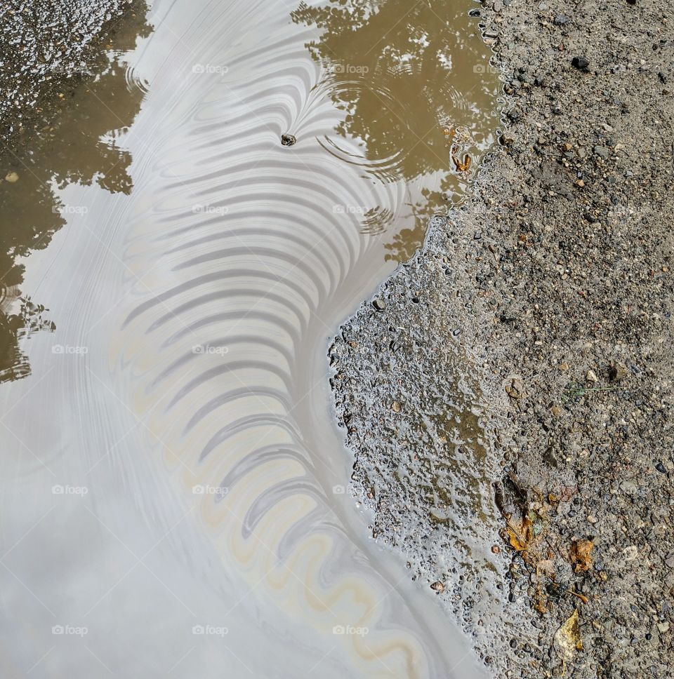 A pattern in the pool after the rain