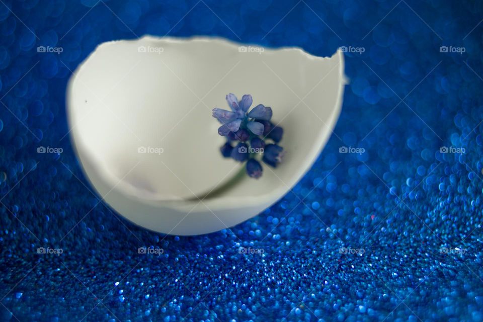 blue flower