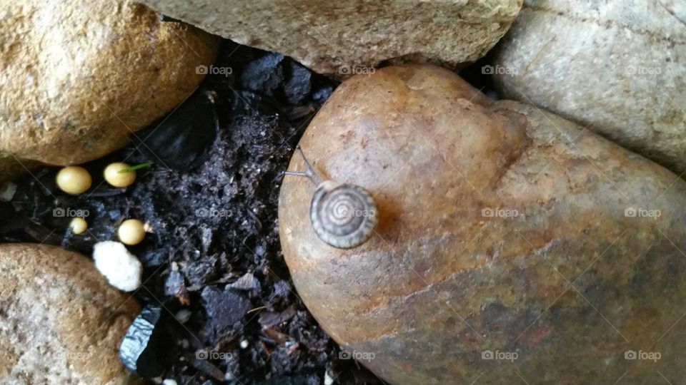 Life Inside a Planter