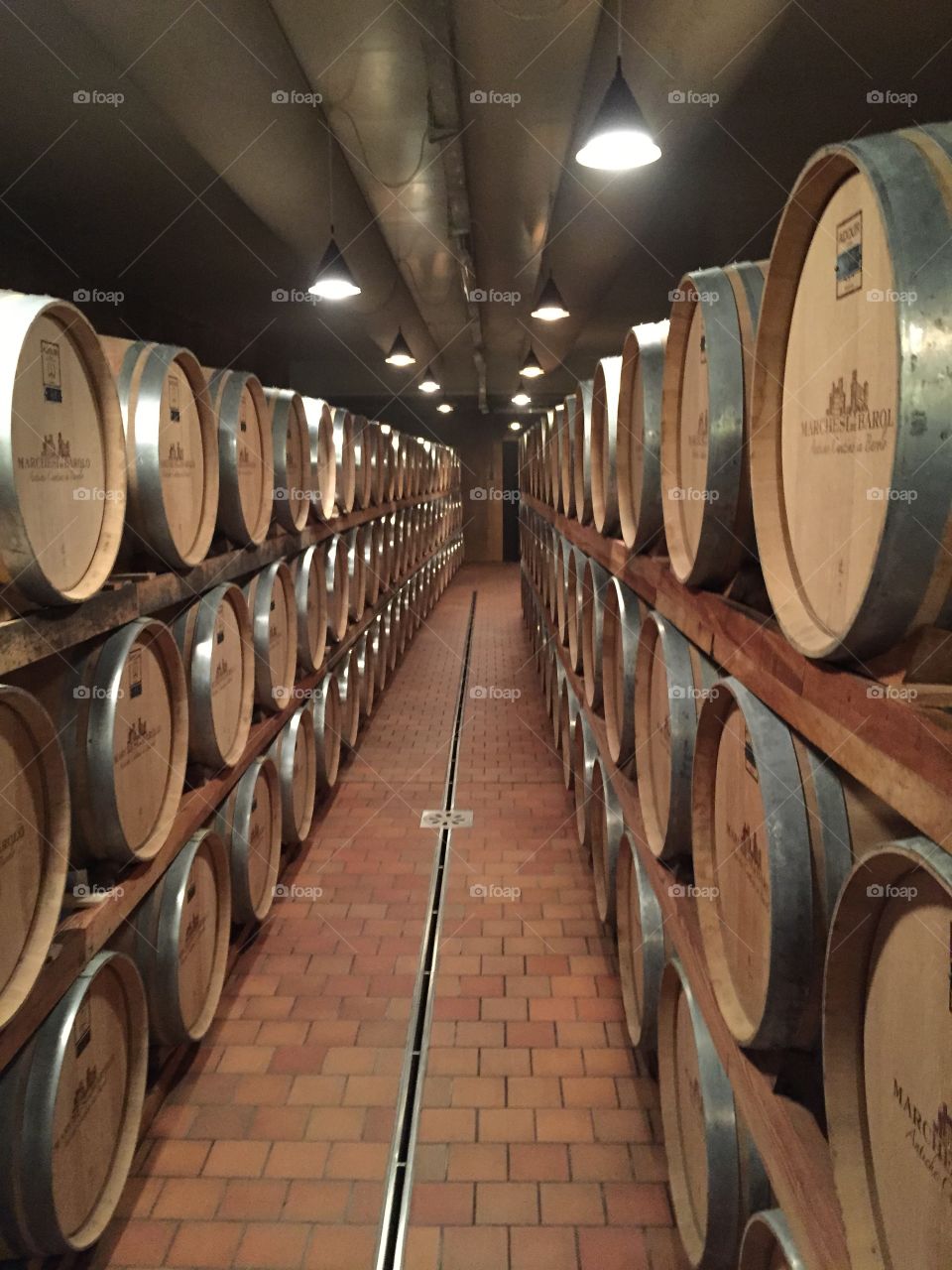 Barrels in Vineyard