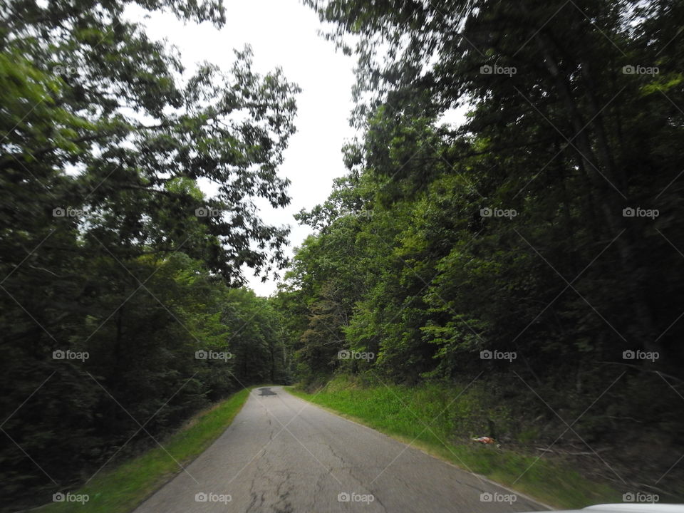 Road, Landscape, Tree, Guidance, No Person