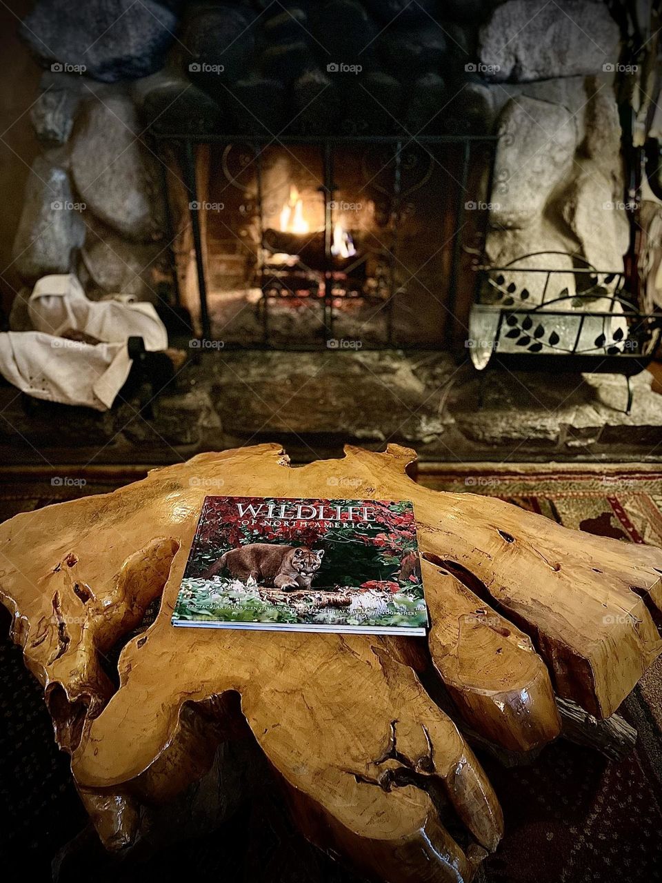 Tree Stump Coffee Table