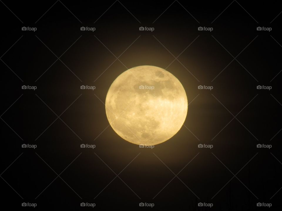 Wolf Moon that is a Super Moon 1.1.18