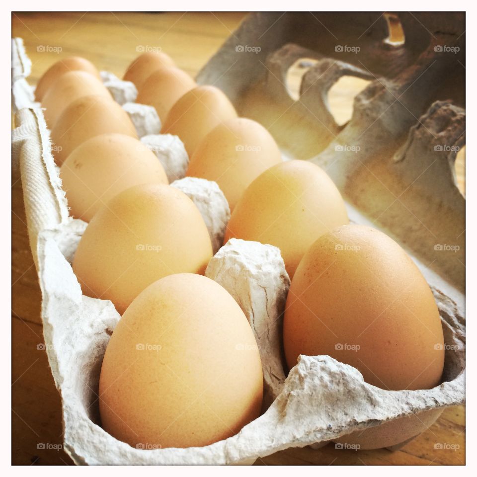 Fresh eggs