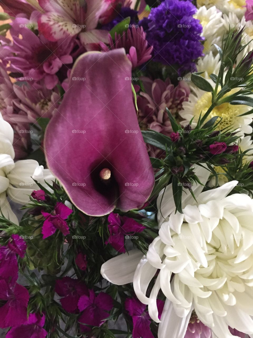 Surprise flowers
Cala lily and mums