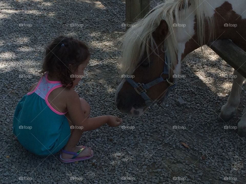 She loves horses