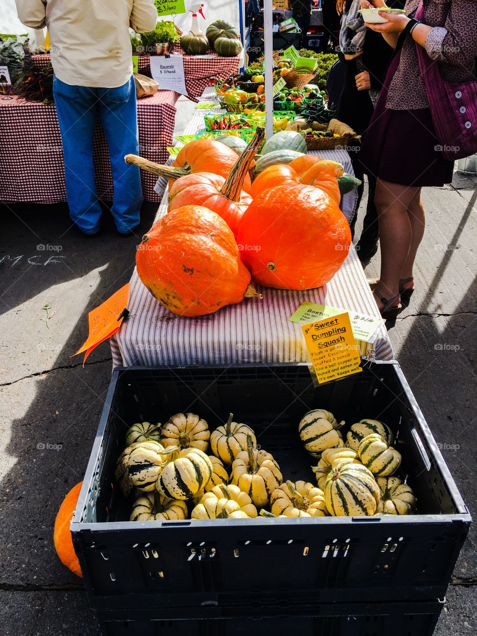 Pumpkins at farmers market 