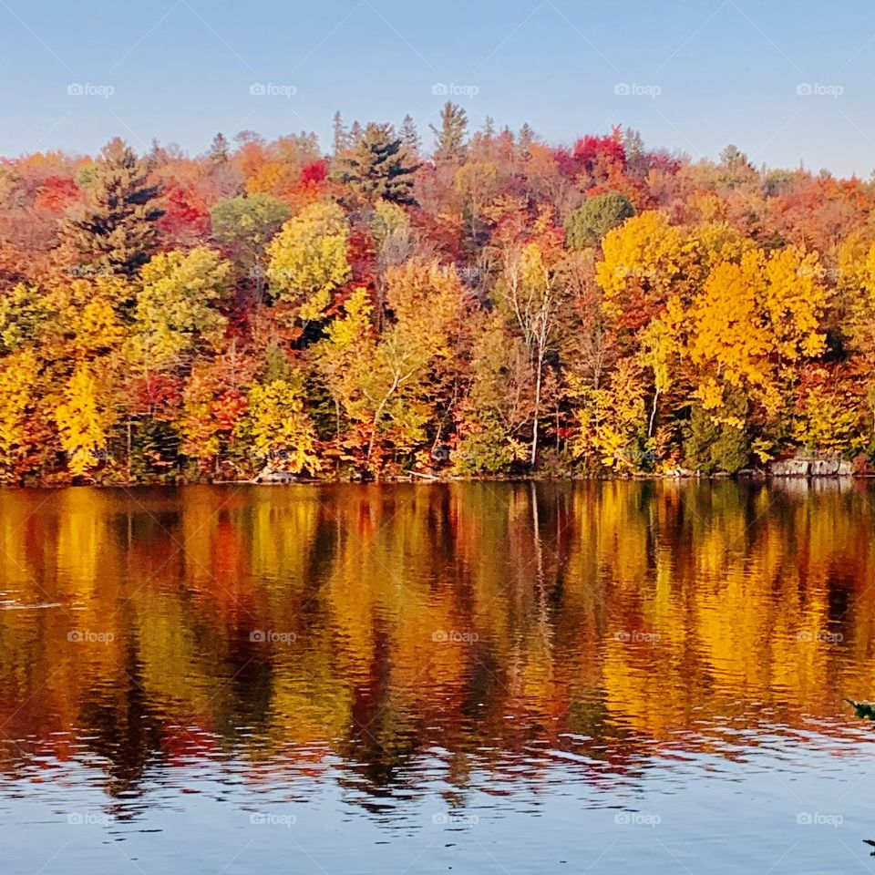 Fall at the lake 🍂