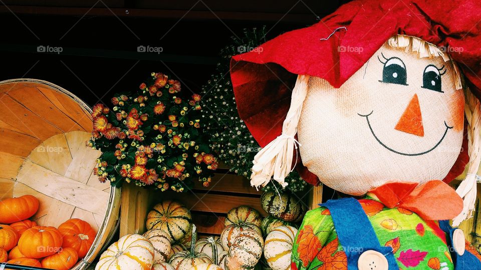 Pumpkin, Halloween, No Person, Thanksgiving, People