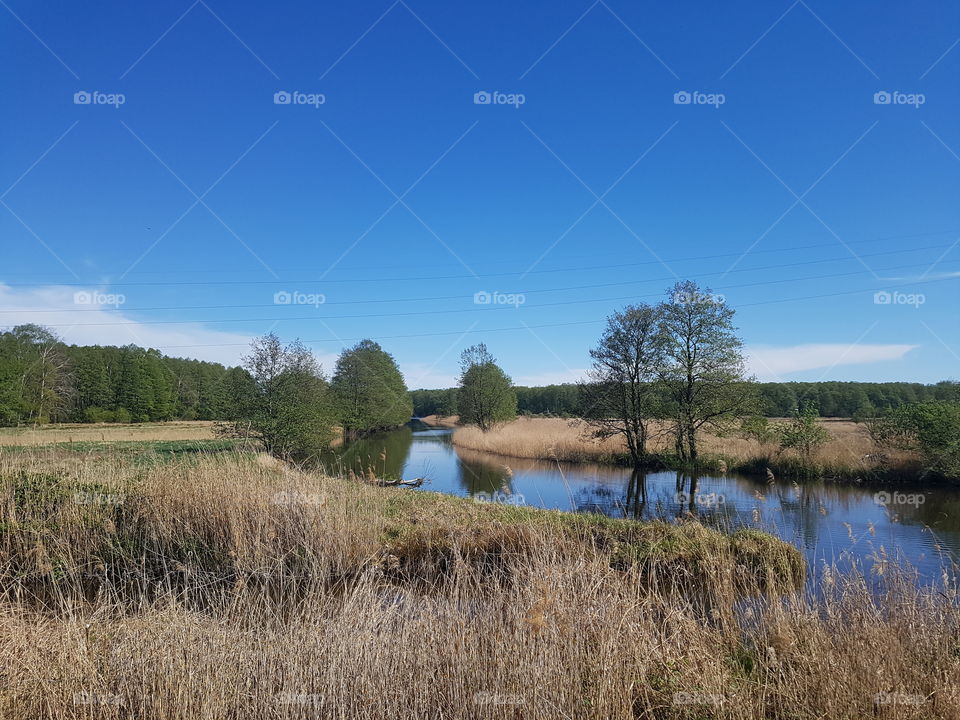 Odra river