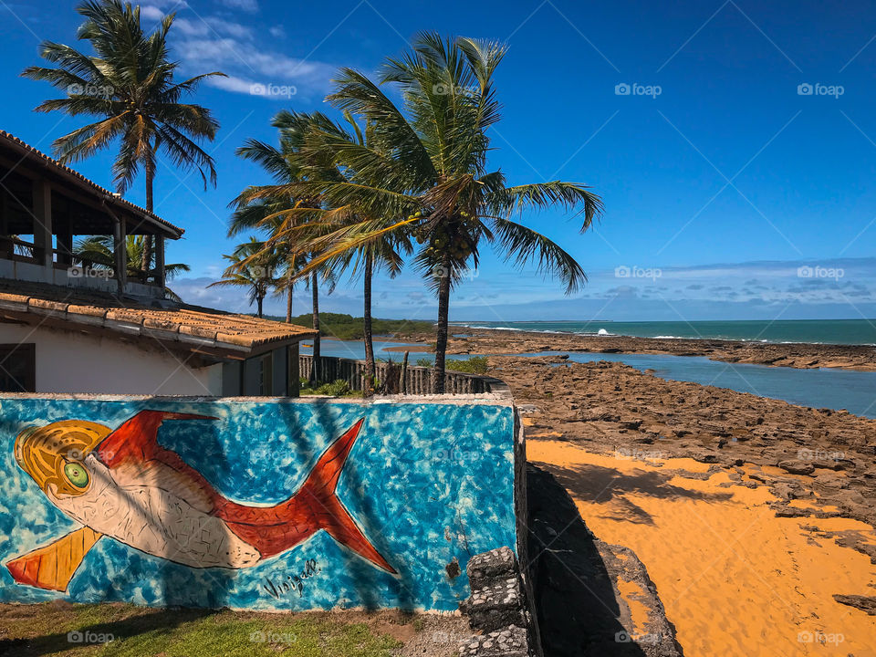 Santa Cruz Cabrália Bahia Brasil 🇧🇷