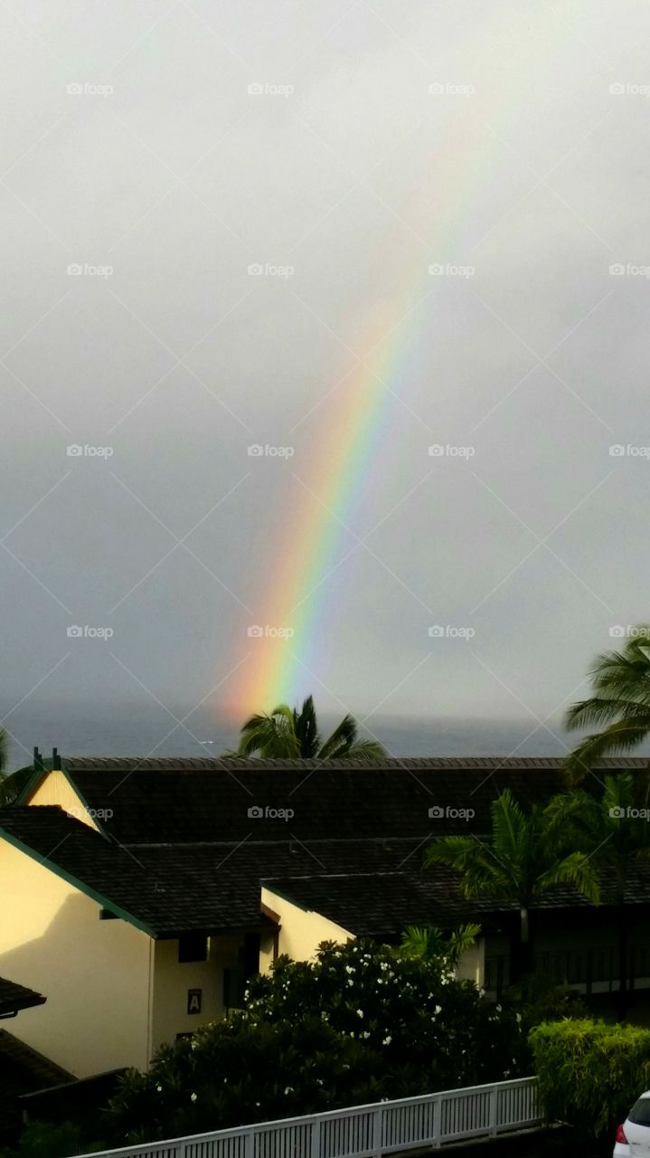 Rainbow after the rain