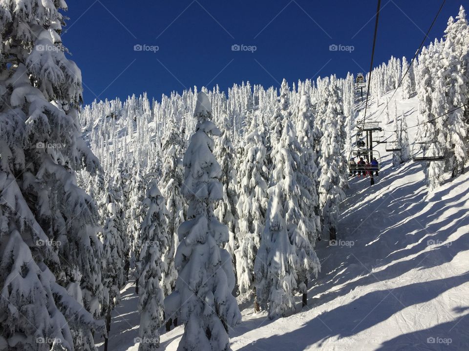 mountain, snow mountain, evergreen trees, snow, snowing. Fog, snowboarding, skiing, sky, 7th heaven , winter, ski resort, frozen, freezing, trees