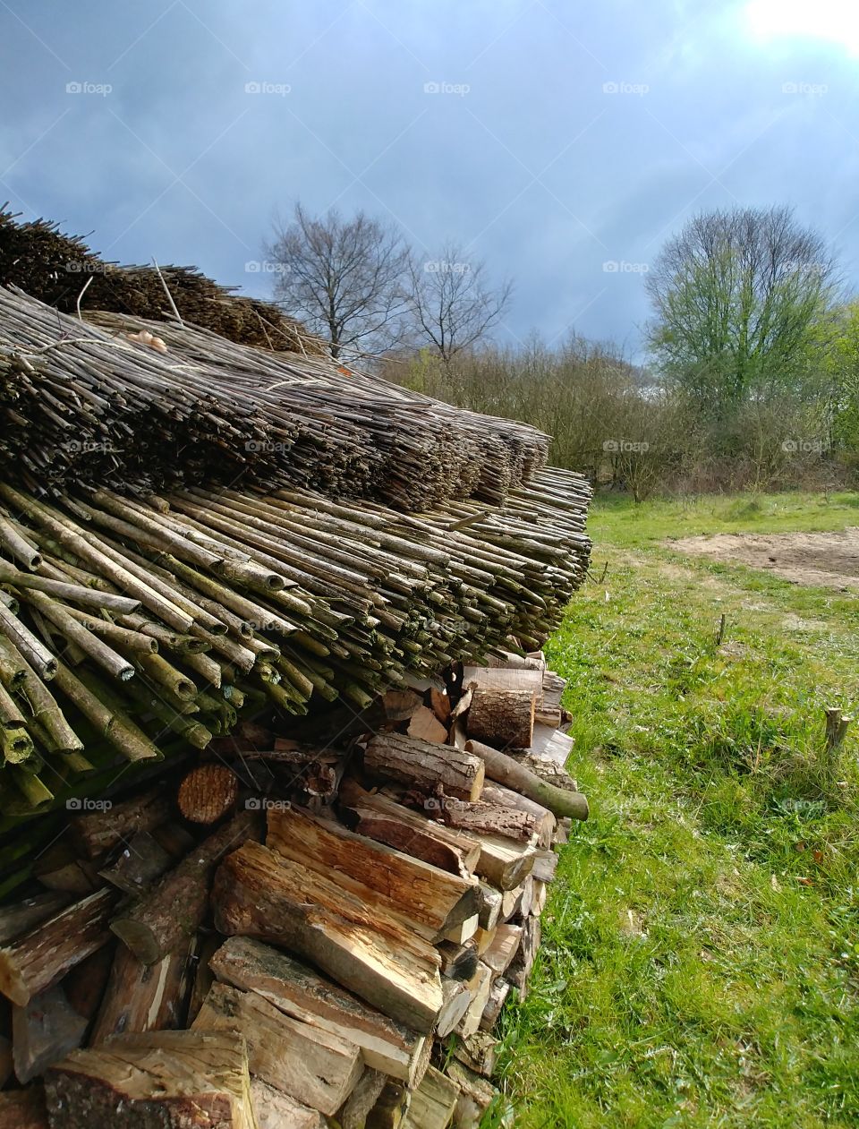dach Holz woese hrün Frühling wiese holz