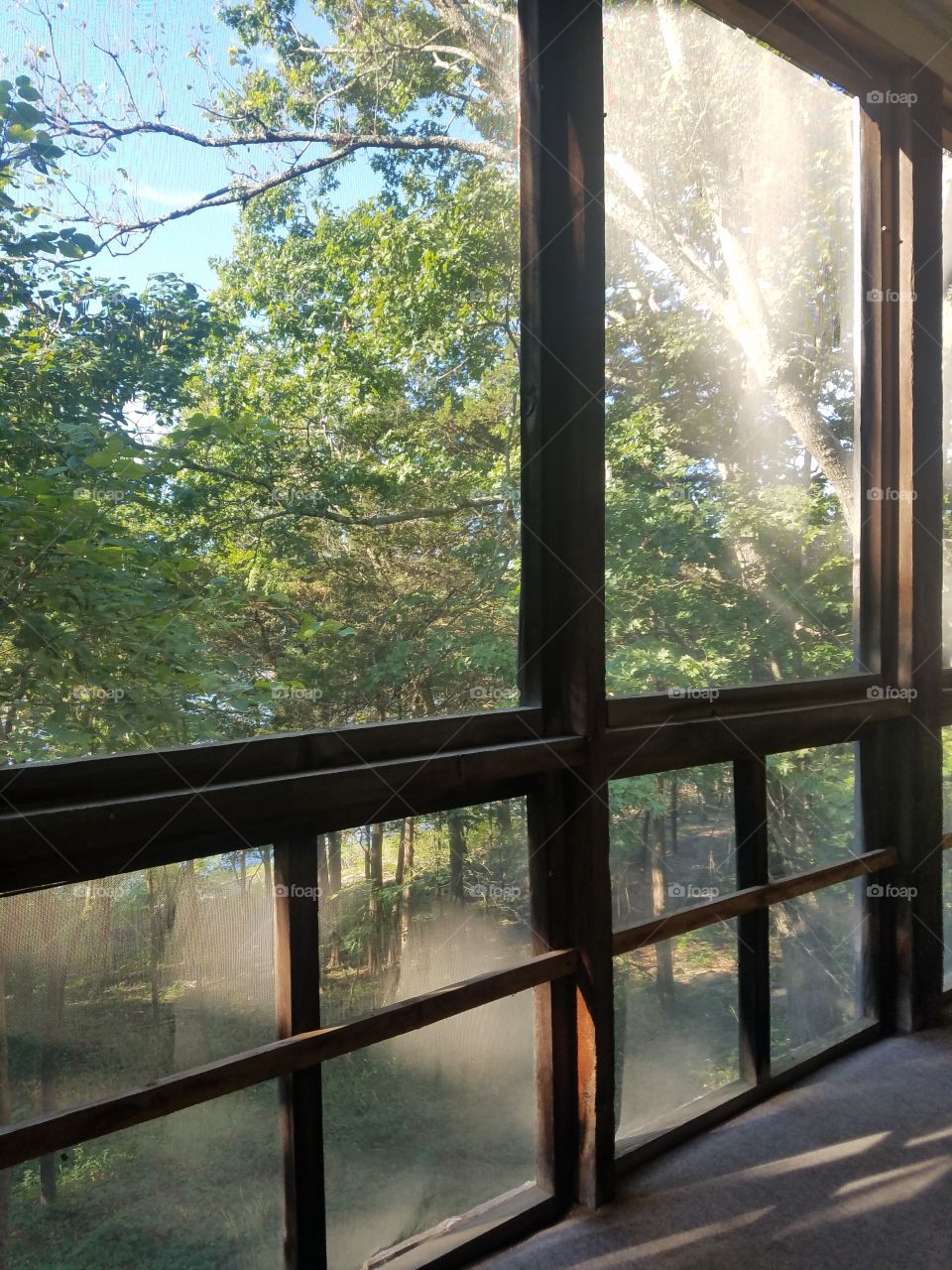 view from the sun room