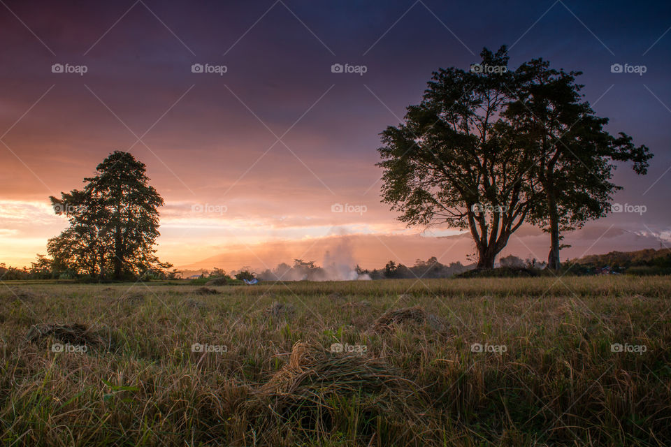 sunset view in country