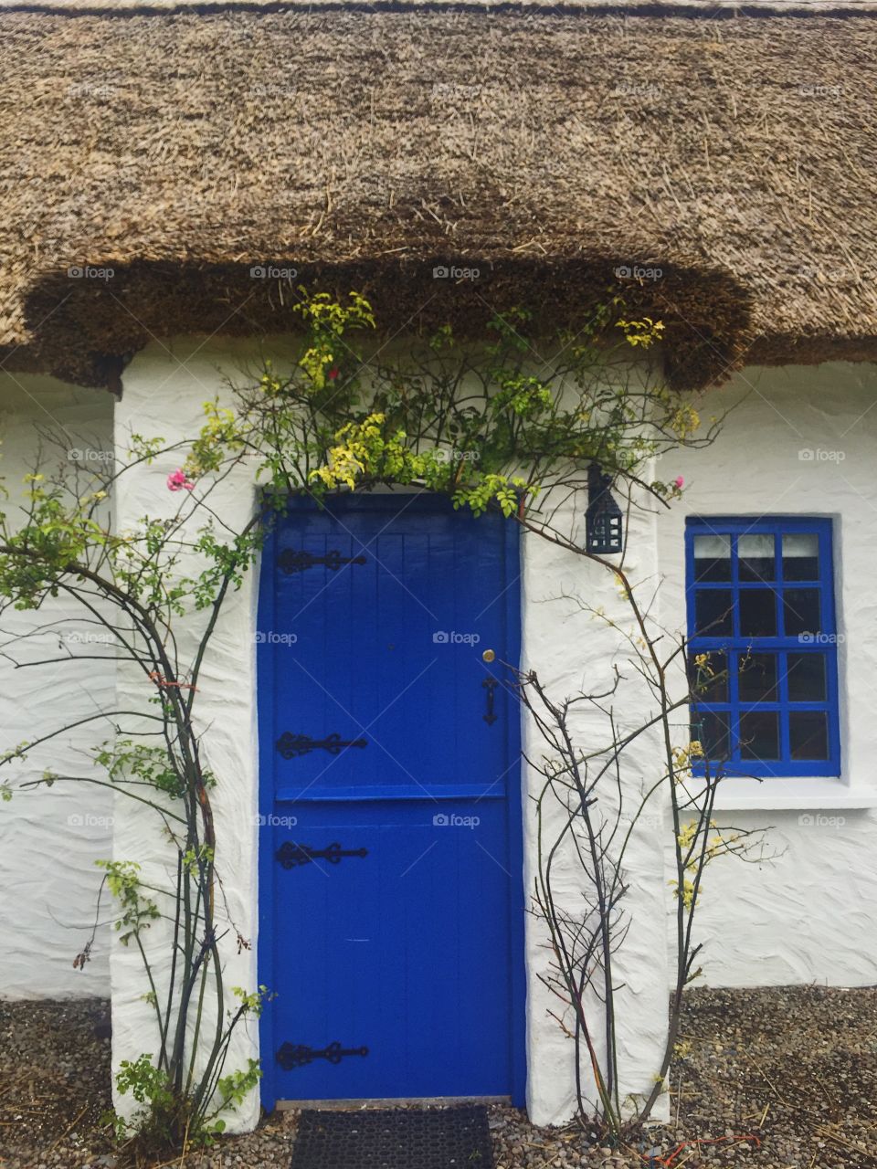 Rural Irish home 