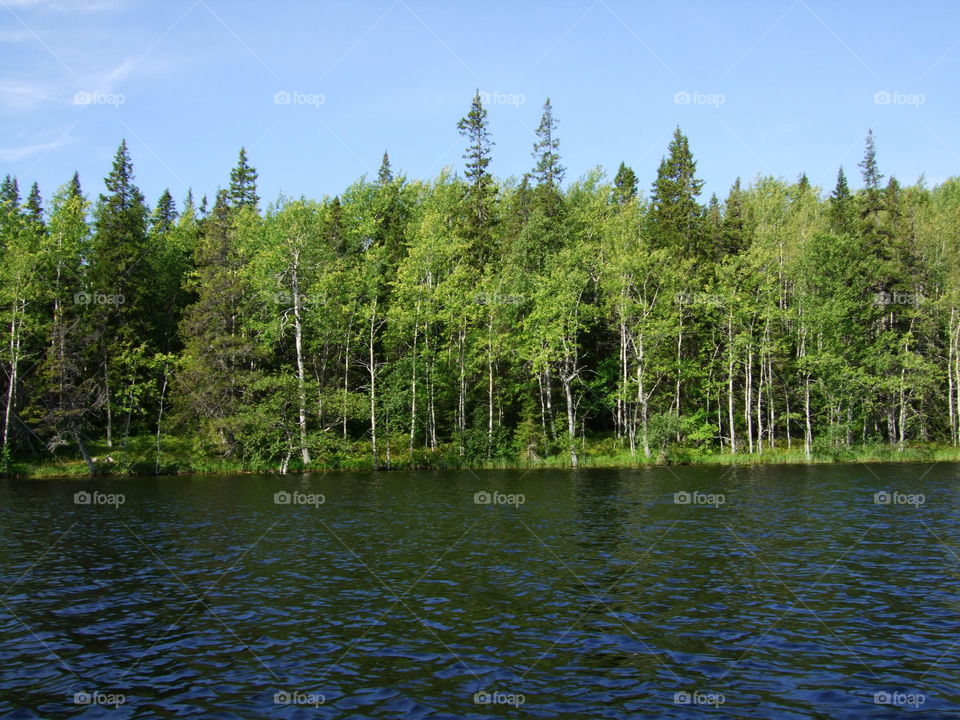 trip to Russia and Solovki-2011