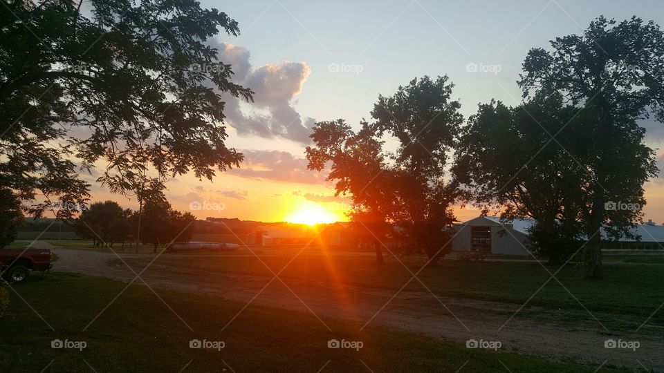 picture of Sunset with trees and Country