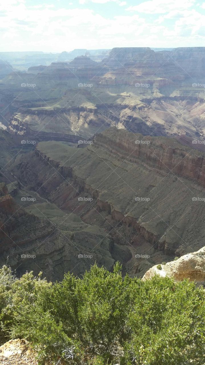 A view of the Grand Canyon