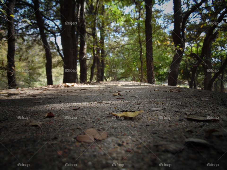 birds eye view. This is a picture I took while out exploring.