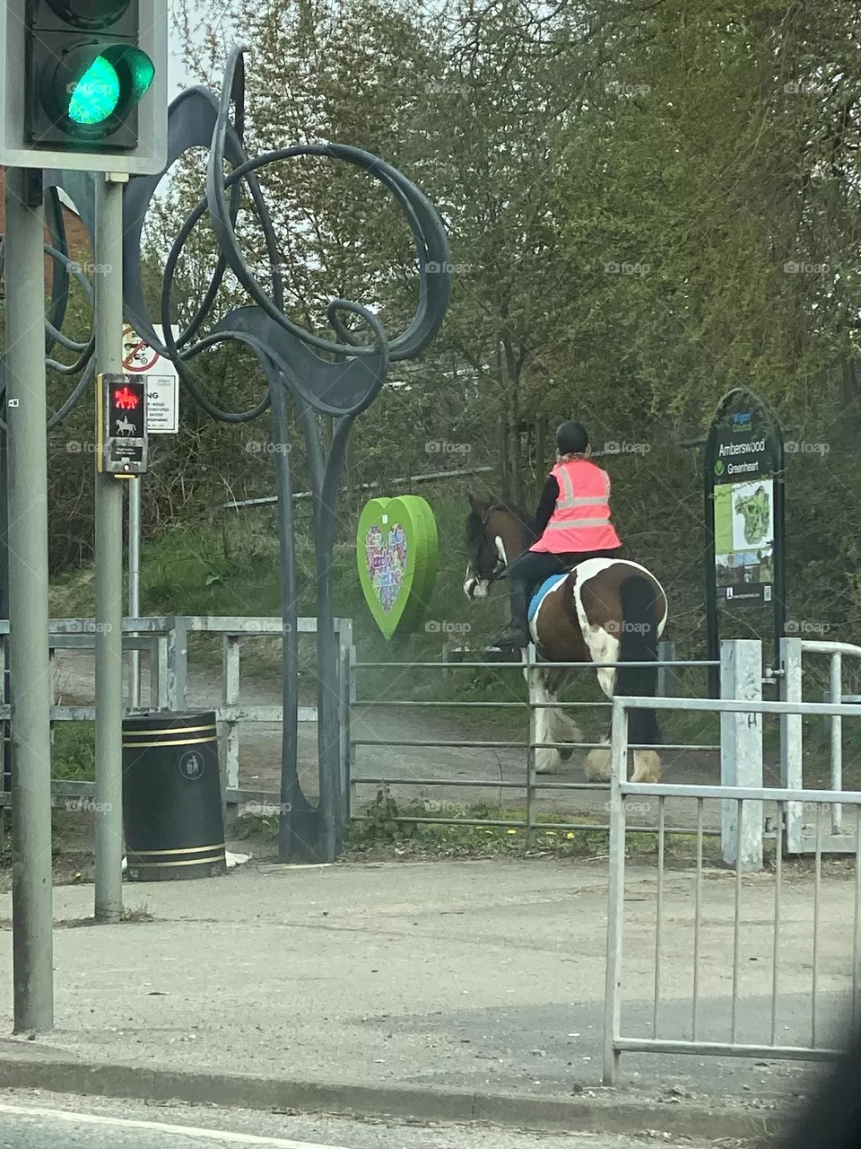 Rider