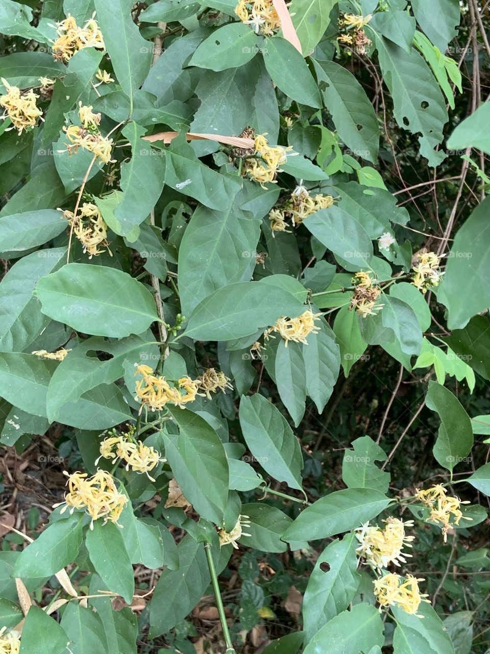 Plants around everywhere, Countryside (Thailand)