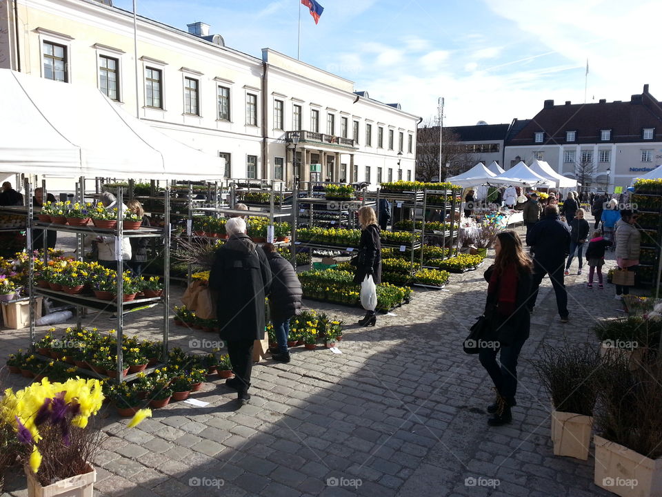 Market day
