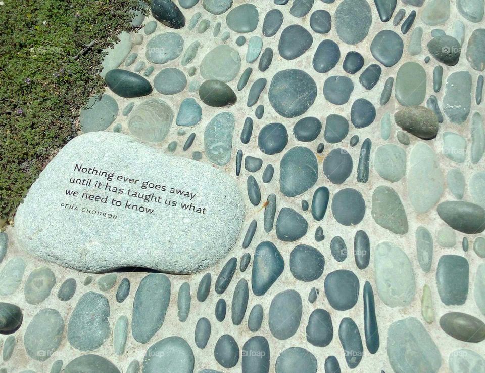 Pema Chrodron quote engraved on a rock as part of a reflexology path in Carbondale Colorado.