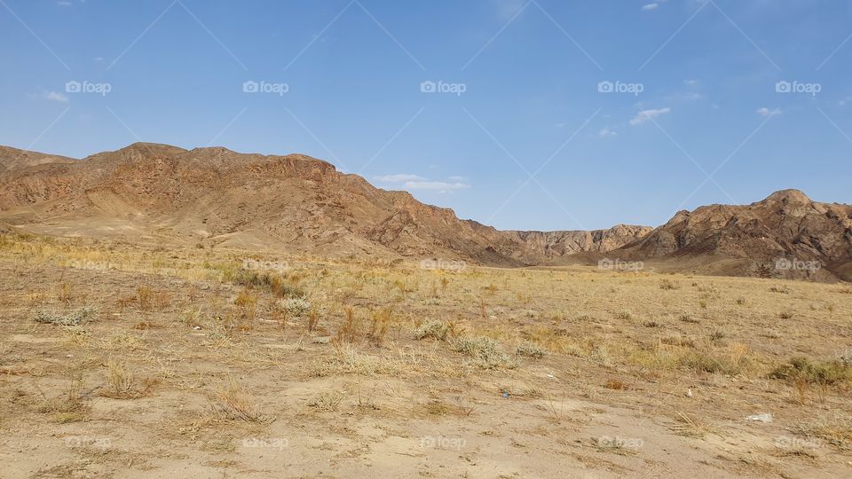 deserted bank of Ili River near Kapchagai in Kazakhstan