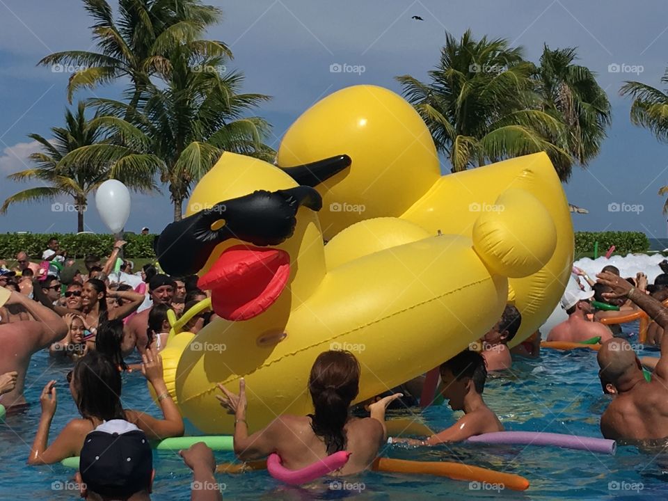 Giant inflatable yellow ducks.