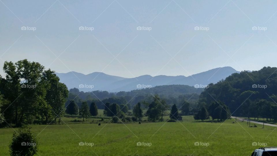 Landscape, Tree, Mountain, Hill, No Person