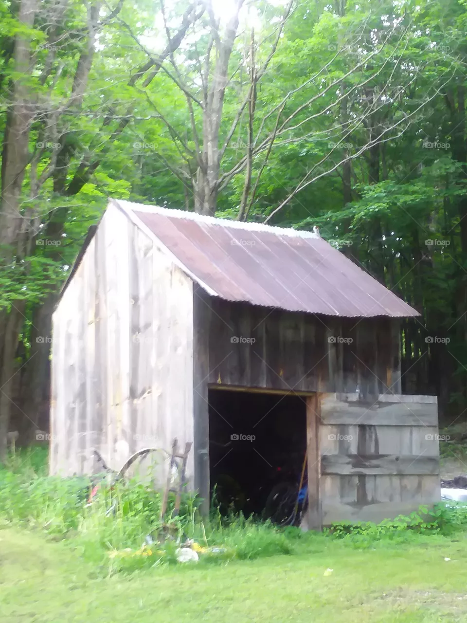 A small wooden shed by the woods