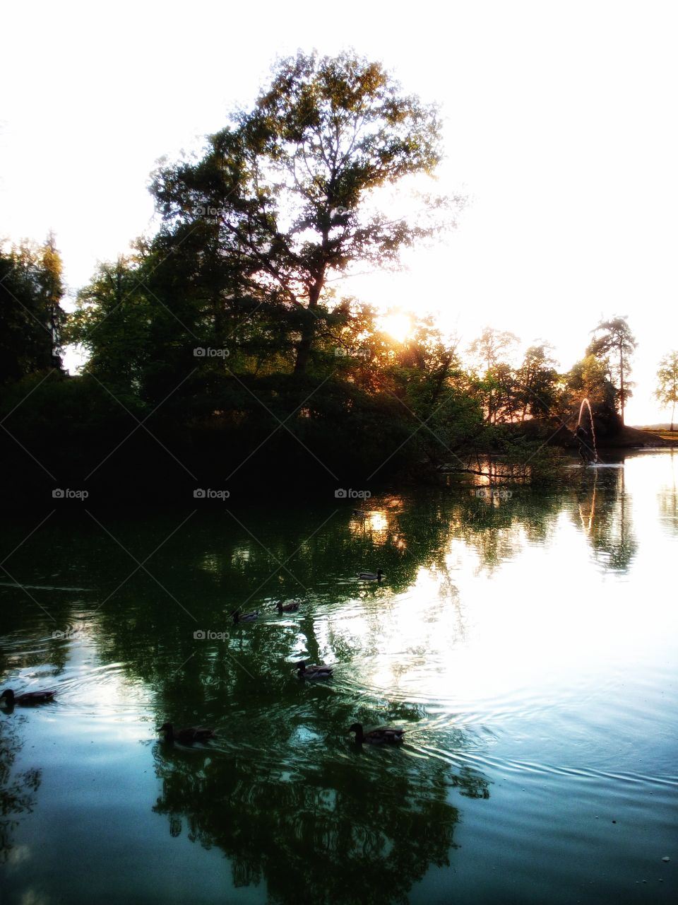 Peace. Silence. Reflections.